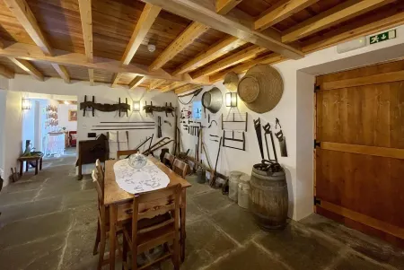 Casa do Avô José Alves (T3), Country House - Rural Tourism