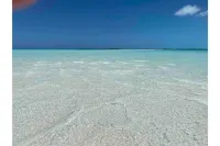 SPECIAL FALL RATE  IS IN  Come enjoy Paradise!