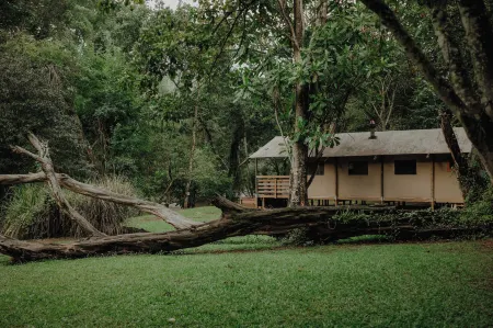 AfriCamps at Mackers - Glamping Отели рядом с достопримечательностью «Pilgrims Rest»