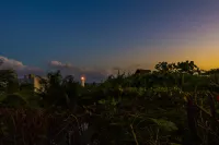 Hotel Caracol Puerto Morelos Hotels in Puerto Morelos