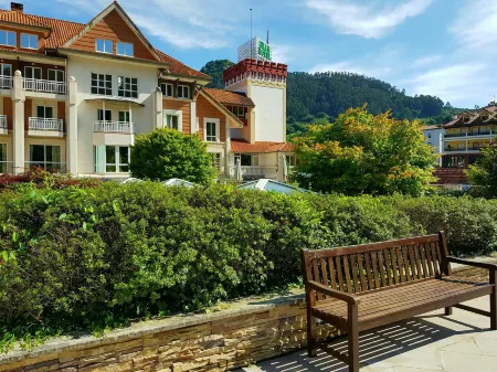 Gran Hotel Balneario de Puente Viesgo Отели в г. Альседа