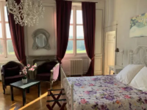 Château de Matel Hotels in Roanne