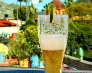 Hotel Real de La Peña