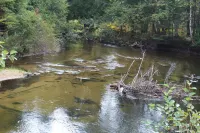 Cabins on Maple River Hotels in Alanson