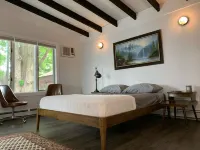 Pet Friendly 1 BR Apartment in Uptown Kingston + Huge Backyard & Full Kitchen