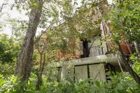 세레모니아 오리헨 바이 비다 데 플라야