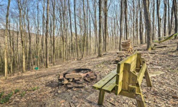 Unplugged Mountain Retreat with Porch Swings! - Housity