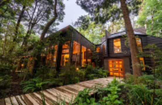 Rakau Lodge Hotels in 