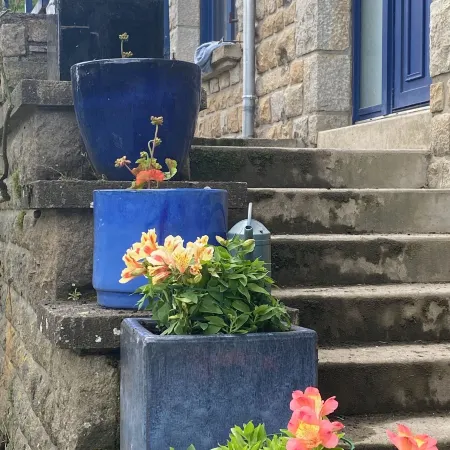 Parenthèse à la Maison de l'Ecrivain Entre Nature et Petit déjeuner Festin