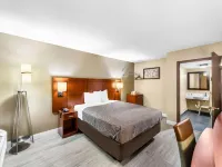 Econo Lodge Texarkana I-30 Hotels in Texarkana