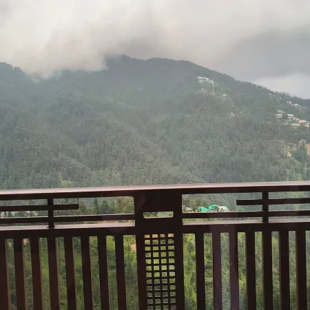The Jungle Mountain Retreat