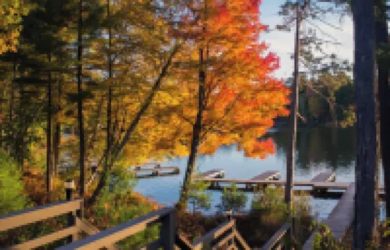 Waters Edge Condo -2 bed 2 bath