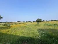 Peaceful Cabin with Views on 40 Acres - Serenity Ranch!