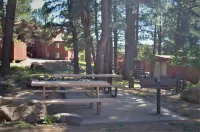 Walk to the Slopes from a Great Condo!  - THE MOUNTAIN IS OPEN
