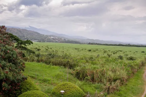 Cómodo Apartamento en Buga a 15 Minutos de la Basílica, con Vista a las Montañas Hotels in Buga