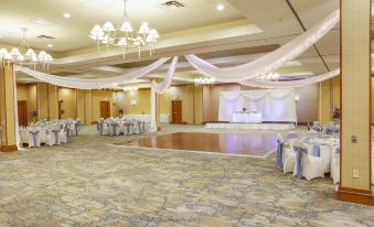 DoubleTree by Hilton Hotel Rochester