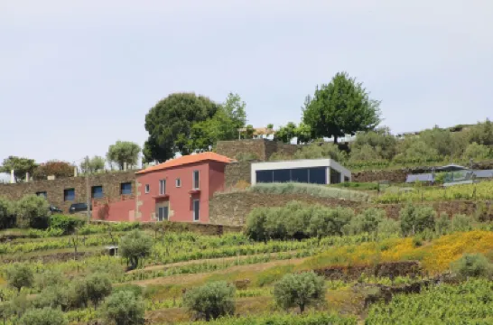 Villa w/ Magical Views of the Douro River Valley, Enjoy Wine Tours & Fine Dining Hotels in 