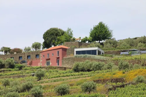 Villa w/ Magical Views of the Douro River Valley, Enjoy Wine Tours & Fine Dining Hotels in Sabrosa