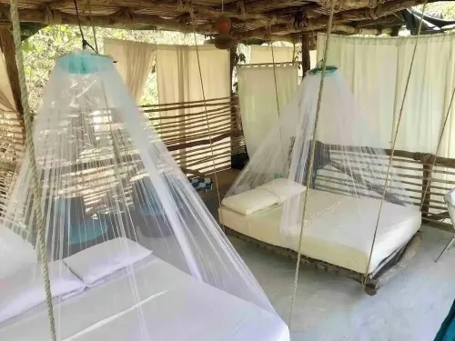 Tree house Pergola Swimming pool at a virgin beach