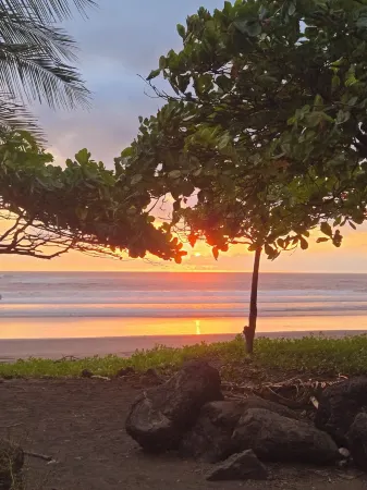 Jungle Beach Home, 3 Bdrm, 2 Bath, no pets or smoking- walk 2 best area beaches!