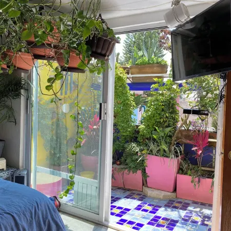 Sustainable 3 Bedroom Home - Casa Vecindad Murales
