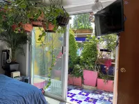 Sustainable 3 Bedroom Home - Casa Vecindad Murales