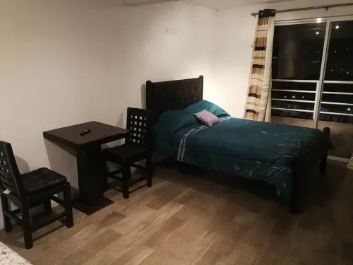 Beautiful loft-style apartment