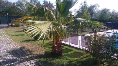 HOUSE SPACE MERLO Hotels in 