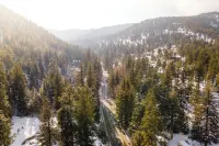 Cozy Colorado Rocky Mountain Cabin
