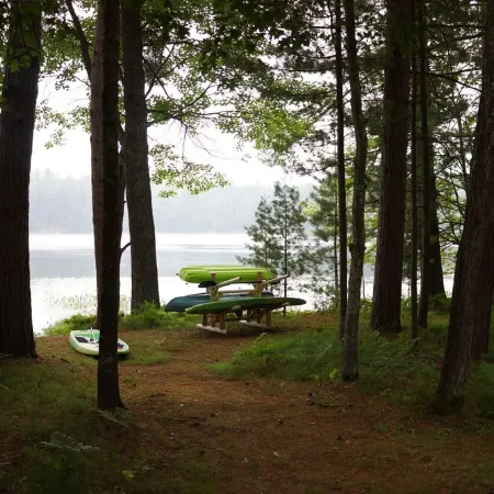 Lakeview, art and nature retreat, with AC and kayaks in Minocqua