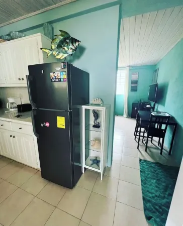 Cozy 1-bedroom apartment with AC, WiFi Douglas/Heywoods near beach and nightlife