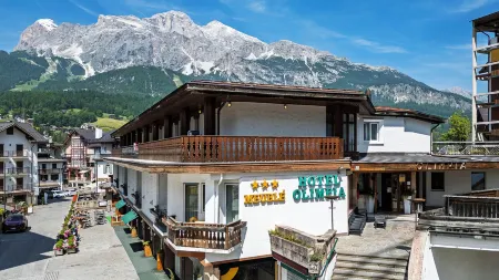Hotel Olimpia Отели в г. Борка-ди-Кадоре