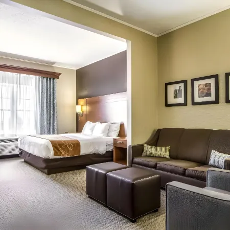 Comfort Suites Hotel and Conference Center