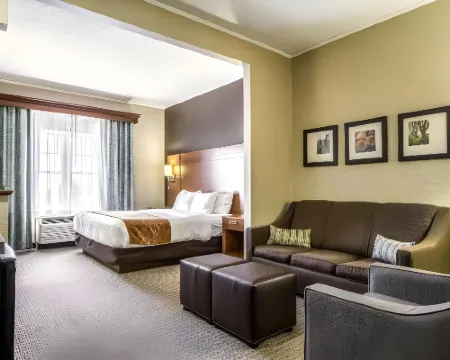 Comfort Suites Hotel and Conference Center Hotels in Holmes County
