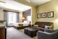 Comfort Suites Hotel and Conference Center - WiFi