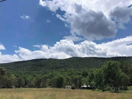Horns Cabins- Mountain View Cabin 2 queen beds!