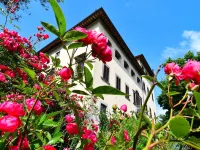 Rustic Elegance Near Florence