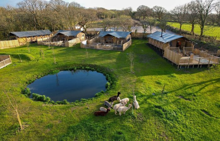 Jungle Book Safari Tent