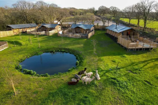 Jungle Book Safari Tent Hotels in Carew