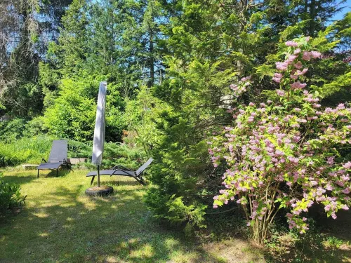 Large apartment (92 sqmsea eagle" 1-6 people in a great location Hotels in Federow