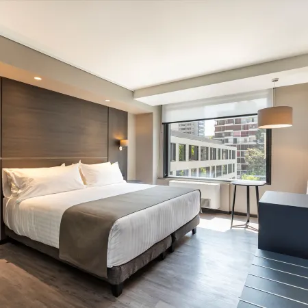 Ola Santiago Providencia, Tapestry Collection by Hilton