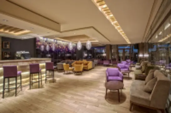 ビー リブ コレクション マラケシュ アダルト オンリー