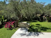 Elia Guesthouse - Kissamos Hotels in Mithimna