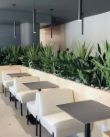 Astral Desert Retreats