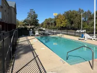 Ormond Beach Inn - Pools