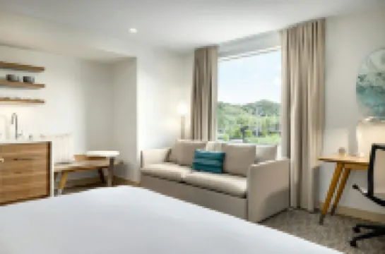 Element Cartersville Hotels in Emerson