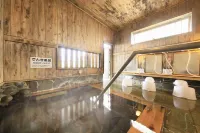 Hotel Pony Onsen - Hot Springs