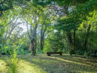 Nido de Montaña - Villa