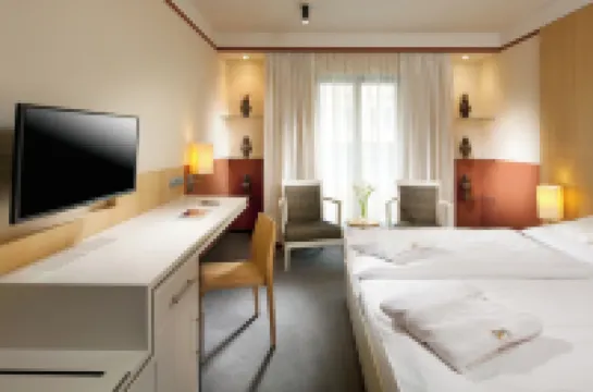 알렉산드리아 스파 & 웰네스 호텔  호텔