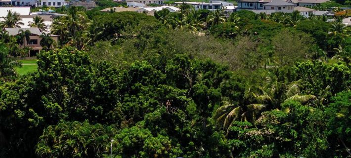 Tides Apartments Hotels in Nadi
